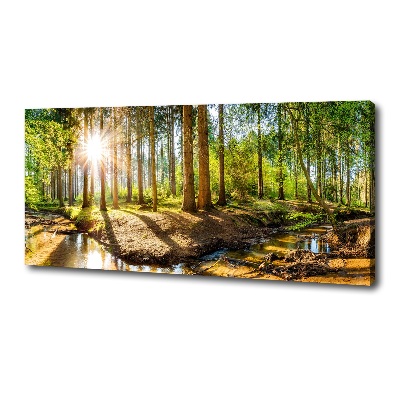 Canvas foto Panorama van het bos
