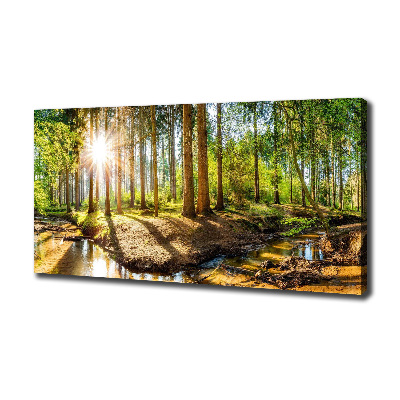 Canvas foto Panorama van het bos