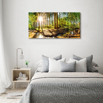 Canvas foto Panorama van het bos