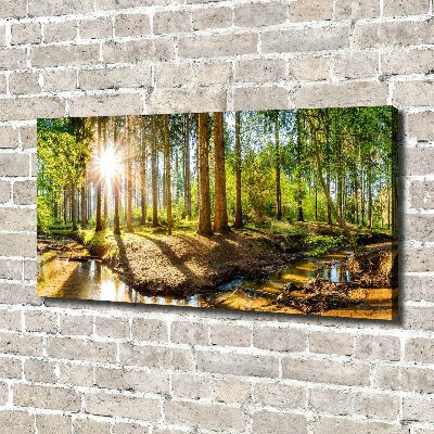 Canvas foto Panorama van het bos