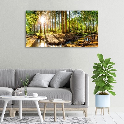 Canvas foto Panorama van het bos