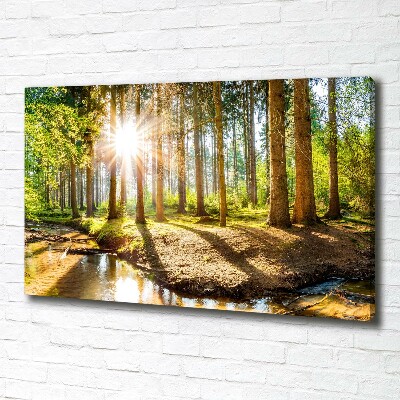 Canvas foto Panorama van het bos