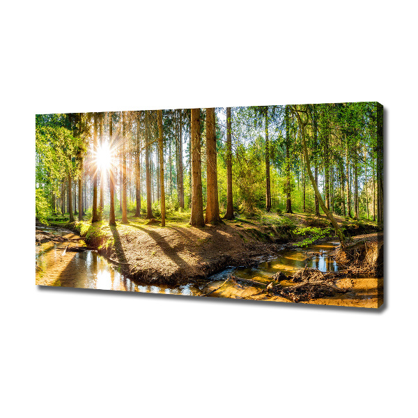 Canvas foto Panorama van het bos