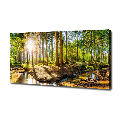 Canvas foto Panorama van het bos