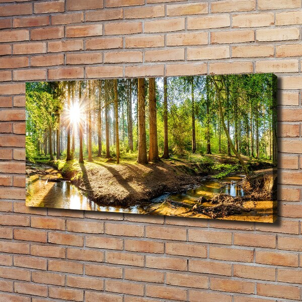 Canvas foto Panorama van het bos
