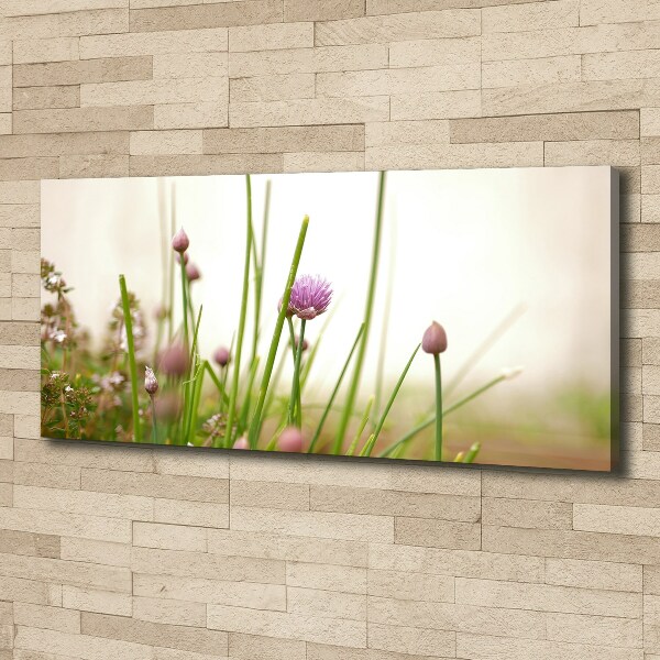 Foto canvas Bieslook