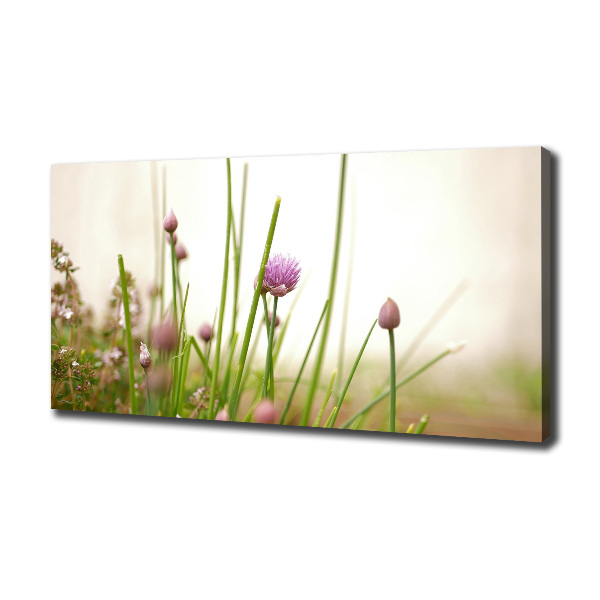 Foto canvas Bieslook