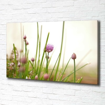 Foto canvas Bieslook