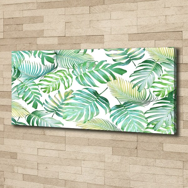 Canvas foto Tropische bladeren