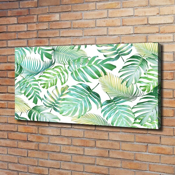 Canvas foto Tropische bladeren