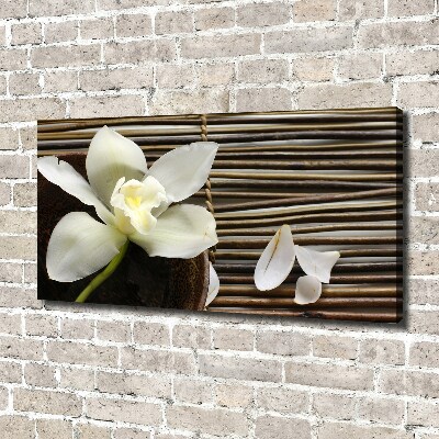 Foto op canvas Orchidee