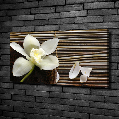 Foto op canvas Orchidee