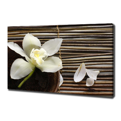Foto op canvas Orchidee