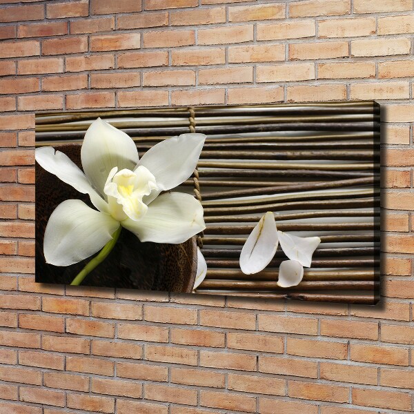 Foto op canvas Orchidee