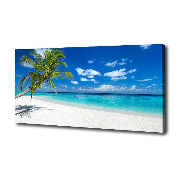 Canvas foto Tropisch strand