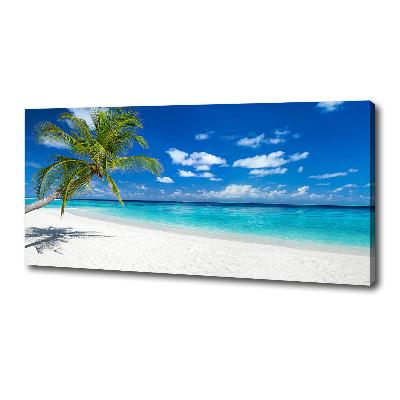 Canvas foto Tropisch strand