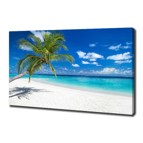 Canvas foto Tropisch strand