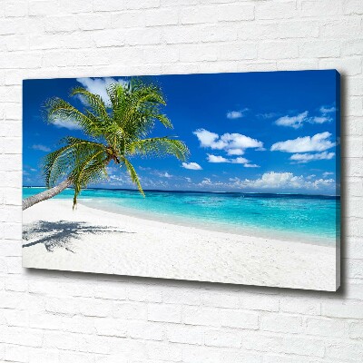 Canvas foto Tropisch strand