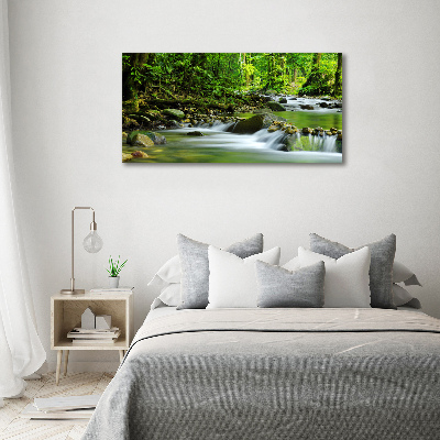 Schilderij op canvas Bergstroom