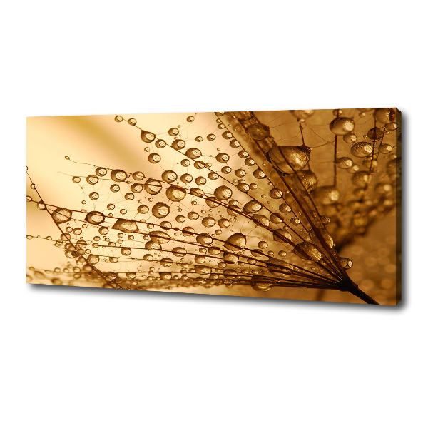 Canvas schilderij Paardenbloemzaden