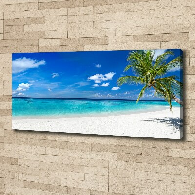 Foto op canvas Tropisch strand