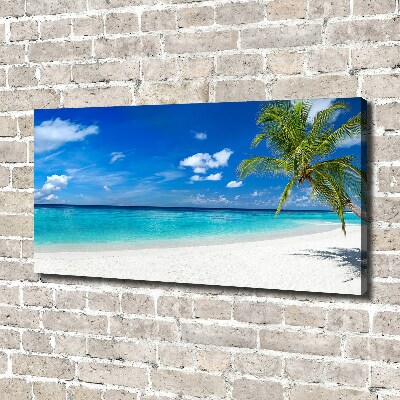 Foto op canvas Tropisch strand