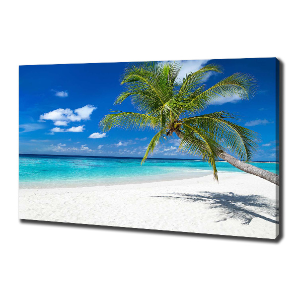 Foto op canvas Tropisch strand