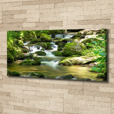 Canvas schilderij Waterval