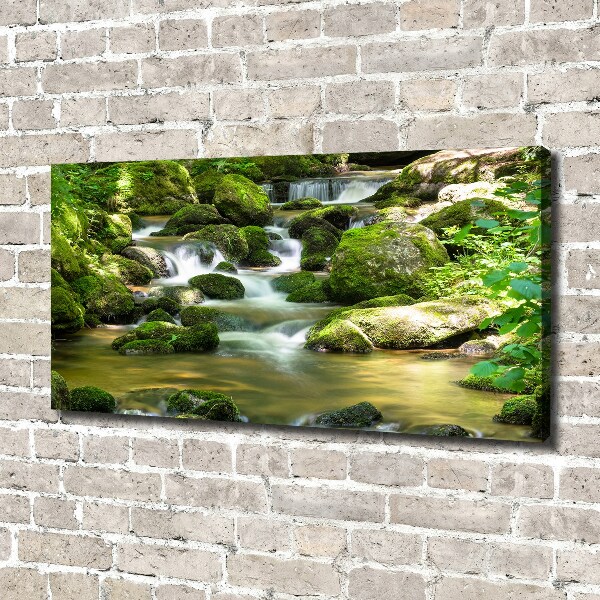 Canvas schilderij Waterval