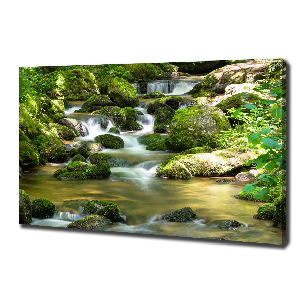 Canvas schilderij Waterval