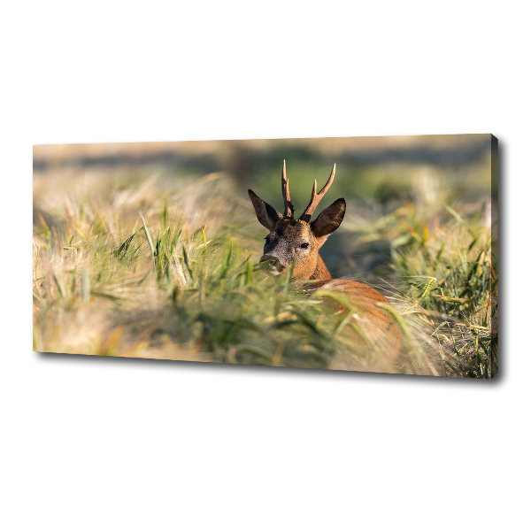 Foto canvas Herten in het veld