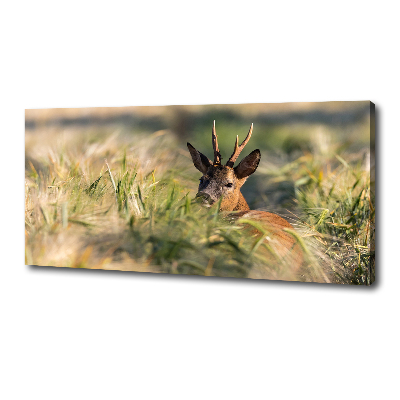 Foto canvas Herten in het veld