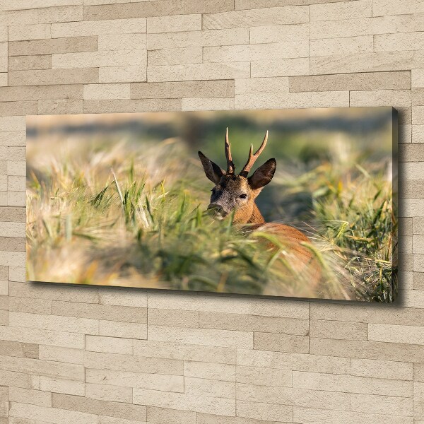 Foto canvas Herten in het veld
