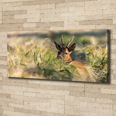 Foto canvas Herten in het veld