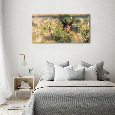 Foto canvas Herten in het veld