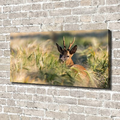 Foto canvas Herten in het veld