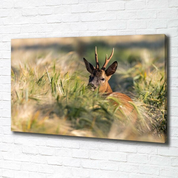 Foto canvas Herten in het veld