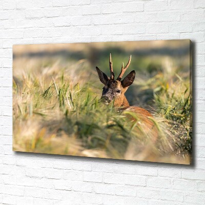 Foto canvas Herten in het veld