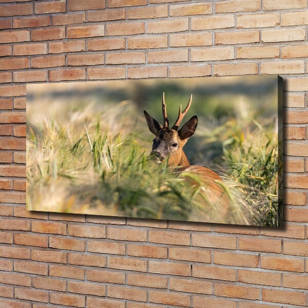 Foto canvas Herten in het veld