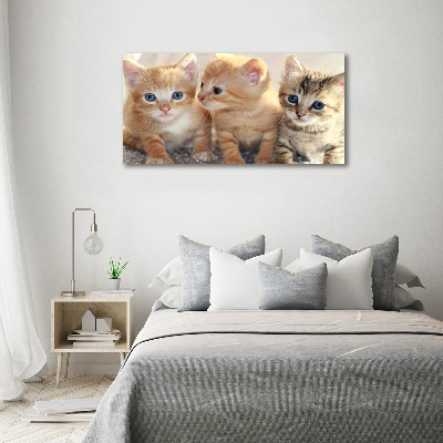 Canvas foto Kleine katjes