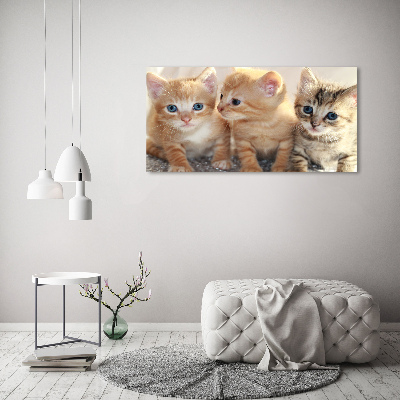 Canvas foto Kleine katjes