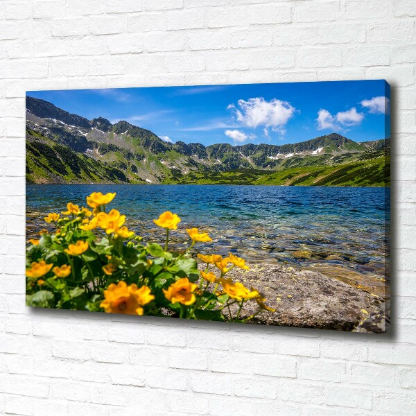 Foto canvas Meer in de bergen