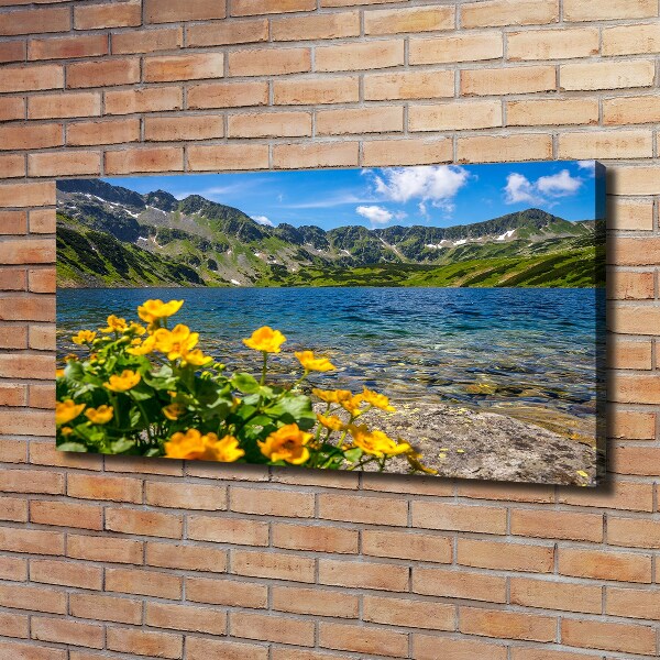 Foto canvas Meer in de bergen