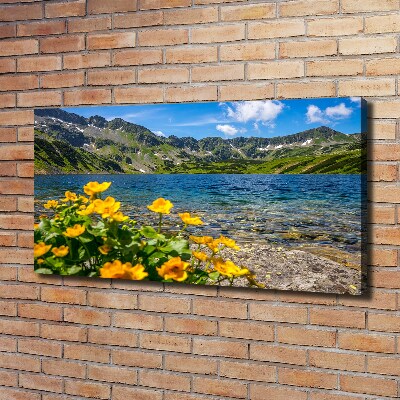 Foto canvas Meer in de bergen