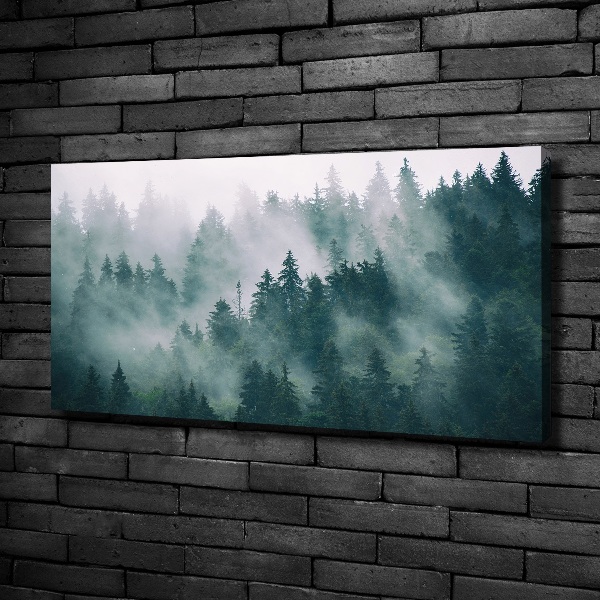 Schilderij op canvas Mist boven het bos