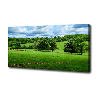 Foto op canvas Groene heuvels