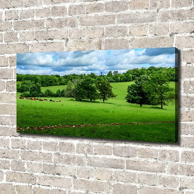 Foto op canvas Groene heuvels