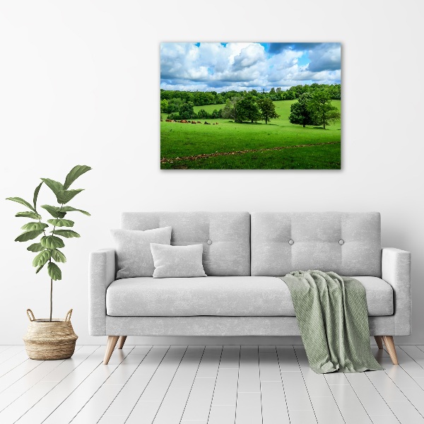 Foto op canvas Groene heuvels