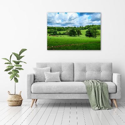 Foto op canvas Groene heuvels