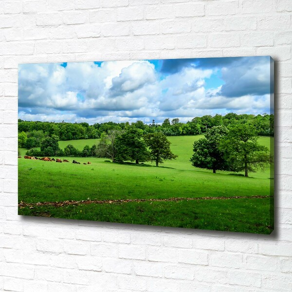 Foto op canvas Groene heuvels